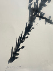 Goldenrod Shadow