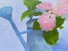 Old Fashioned Hydrangeas