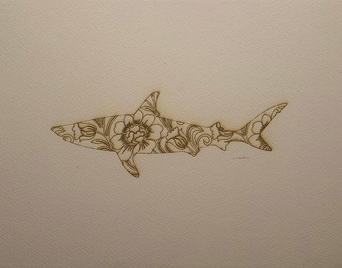 Shark