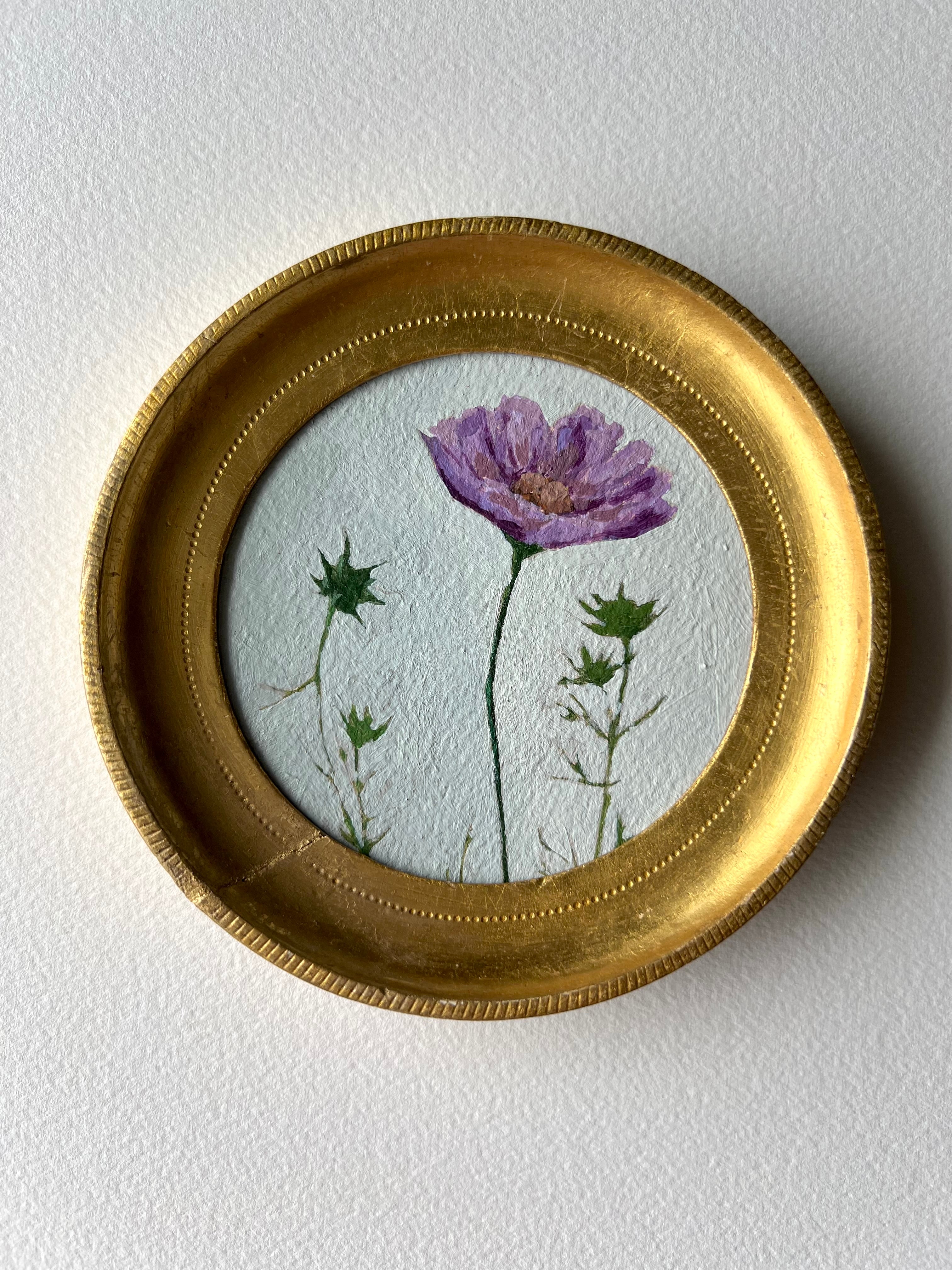 Cosmos Study ii