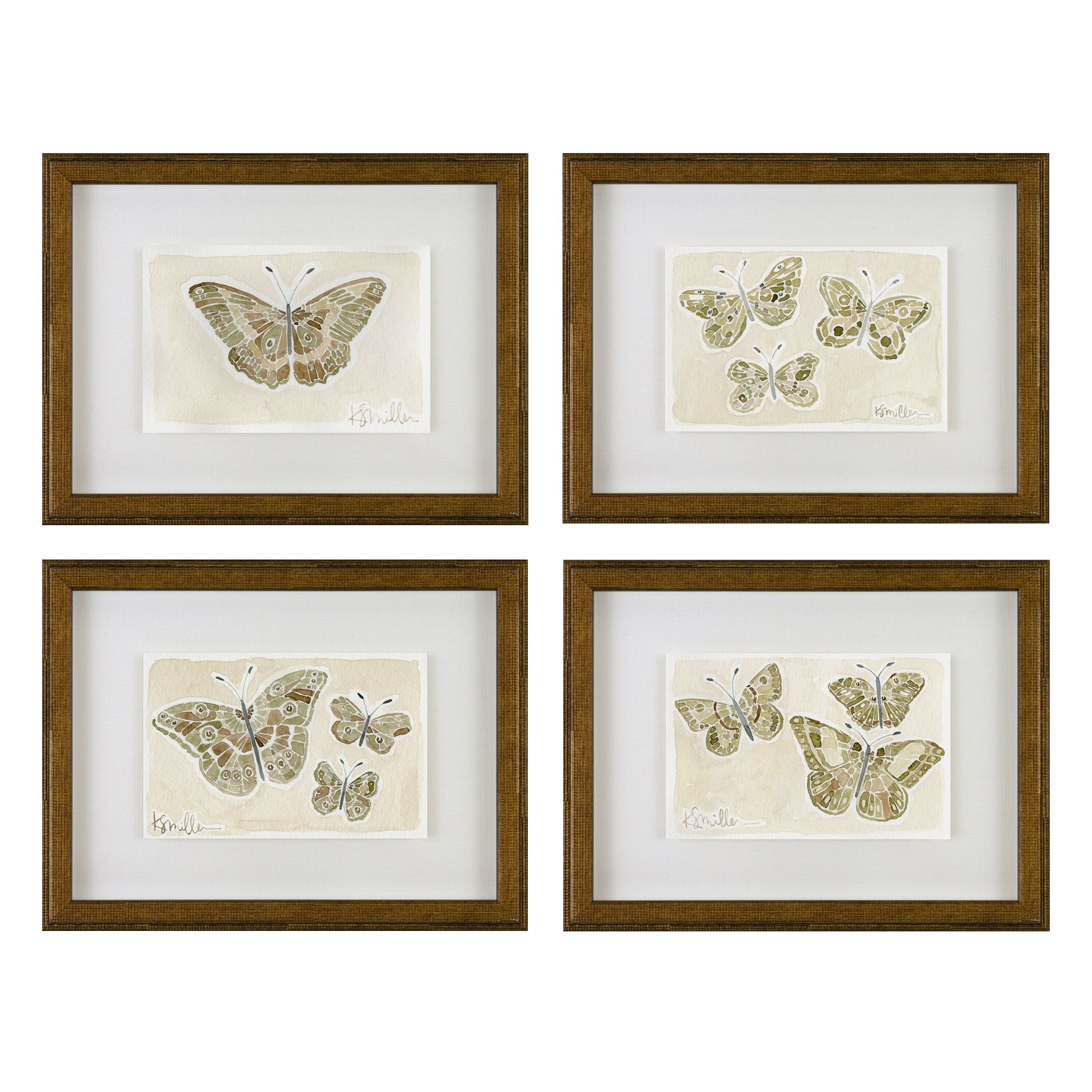 Butterflies 011