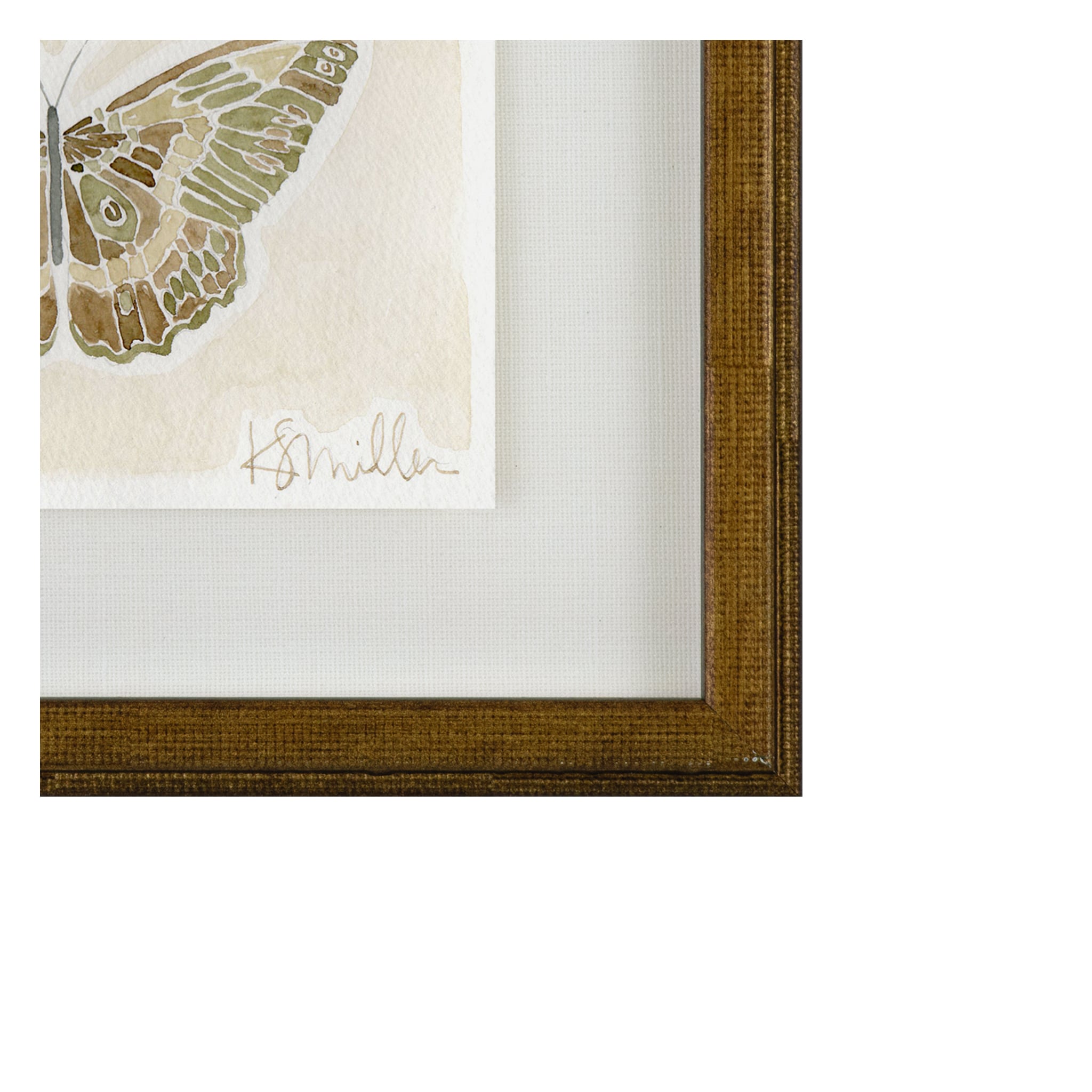 Butterflies 013