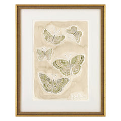 Butterflies 015