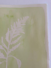 Green Fern