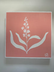 The Colony Pink