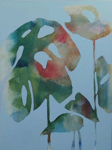 Monstera 4