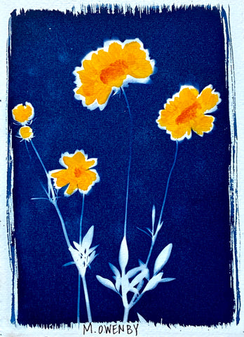 Summer Susans II