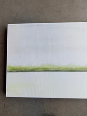 Mossy Marsh