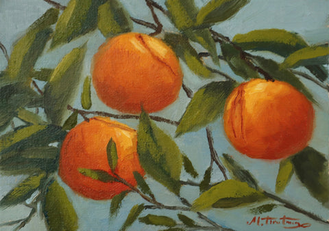 Orange Tree