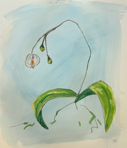 Orchid Study - Bloom