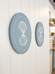 Scallop Shell Reflection