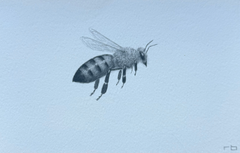 Bee 3