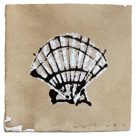 Shell on Coffee