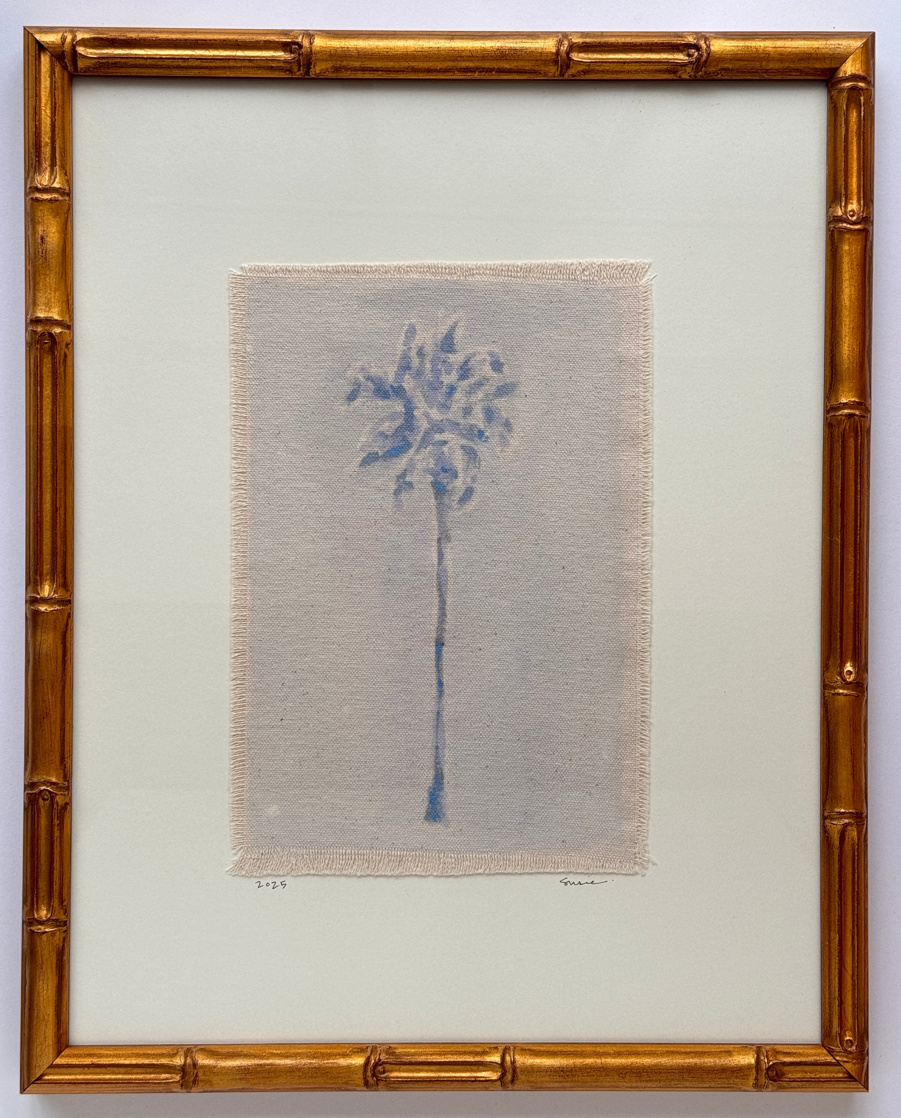 Original Hurricane Palm XL 2