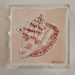 Original Seashell 13
