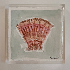 Original Seashell 14