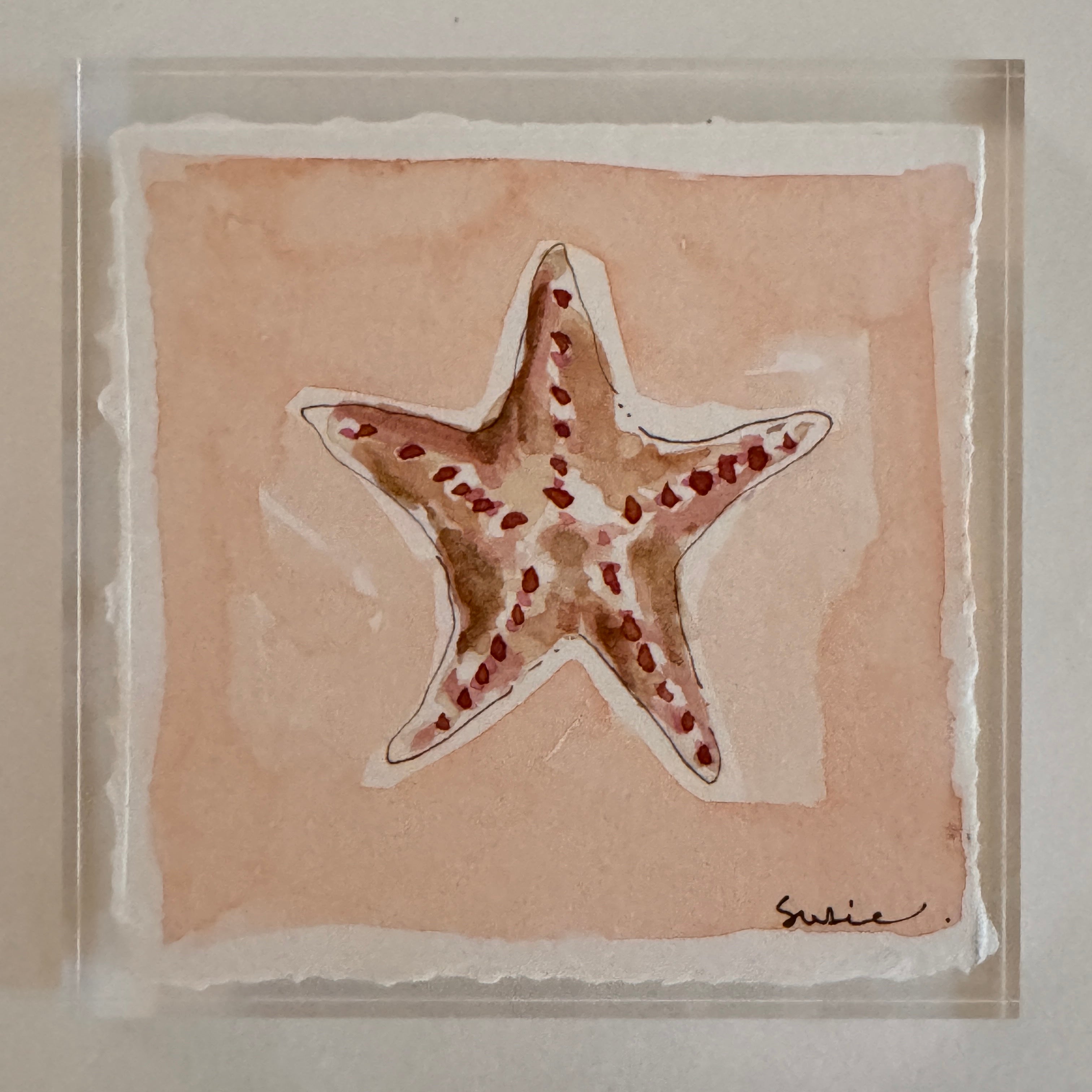 Original Seashell 21