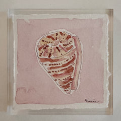 Original Seashell 22