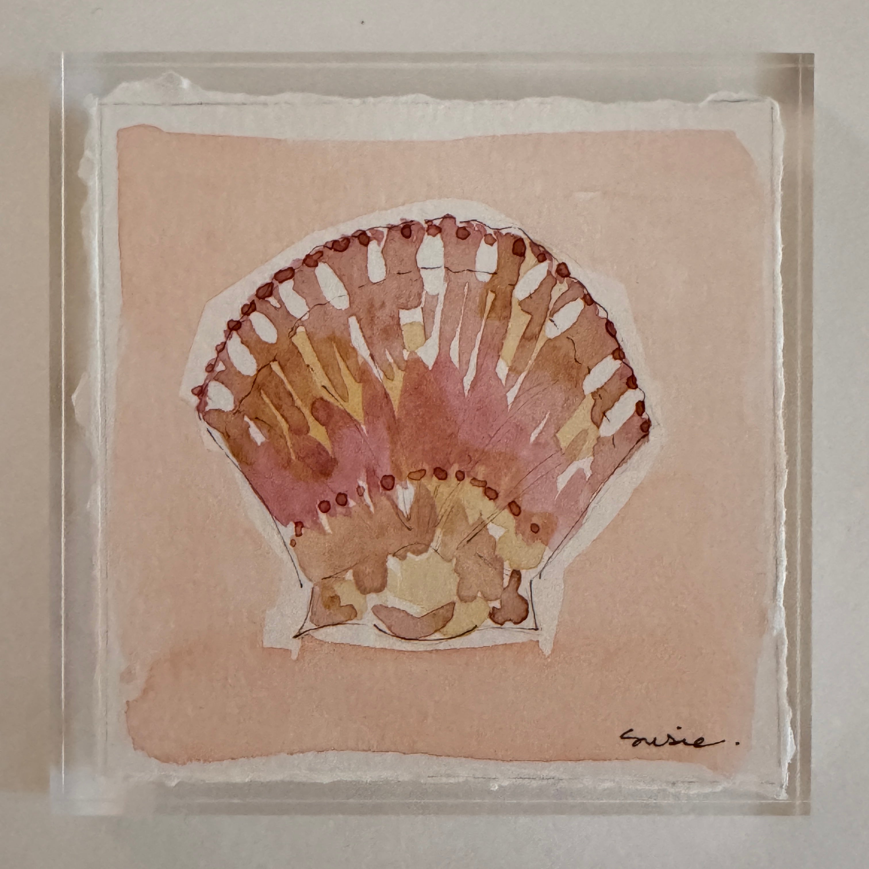 Original Seashell 23