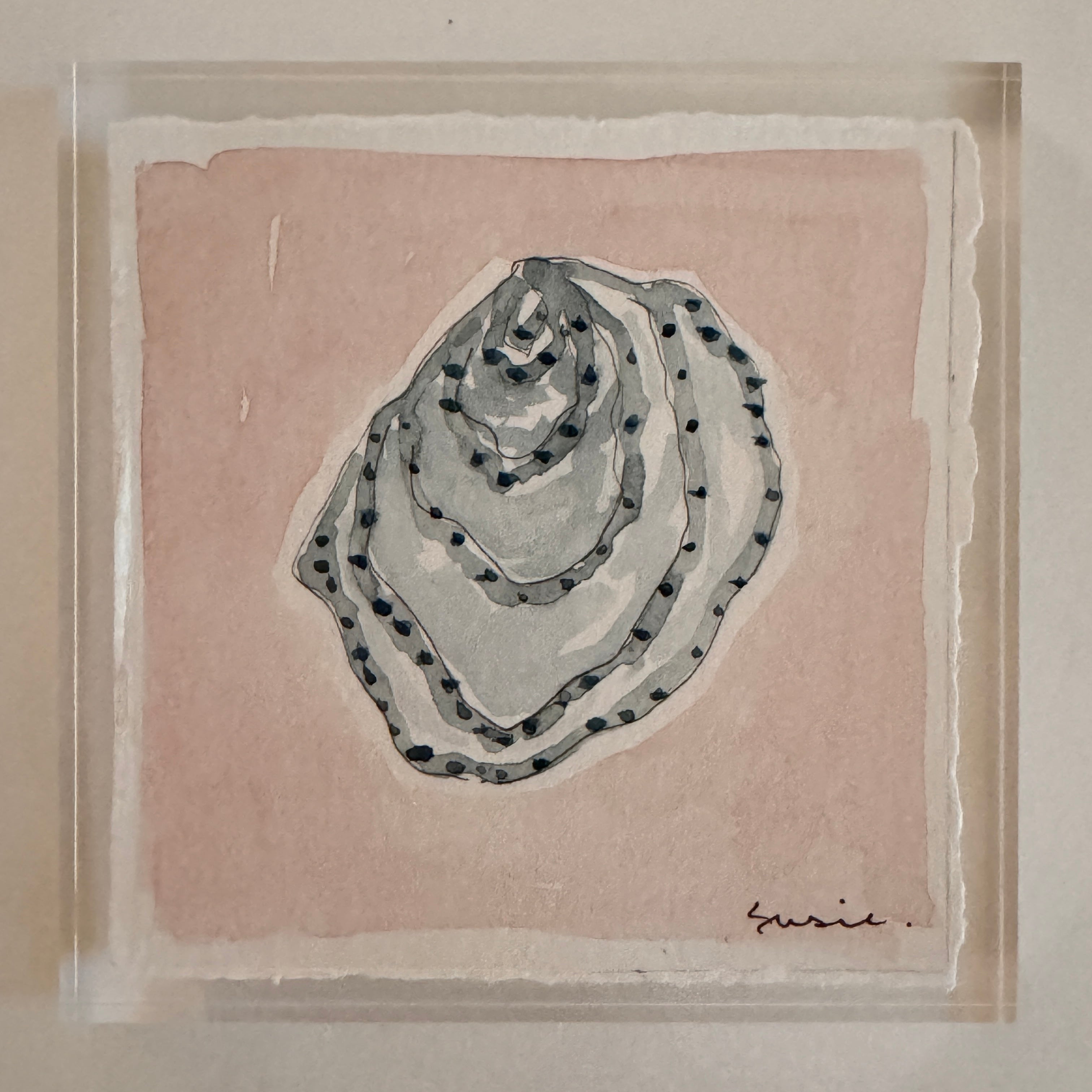 Original Seashell 33