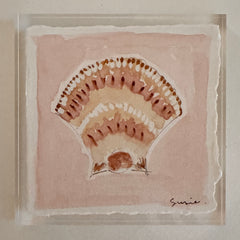 Original Seashell 35