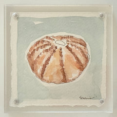 Original Susie Shell No. 10