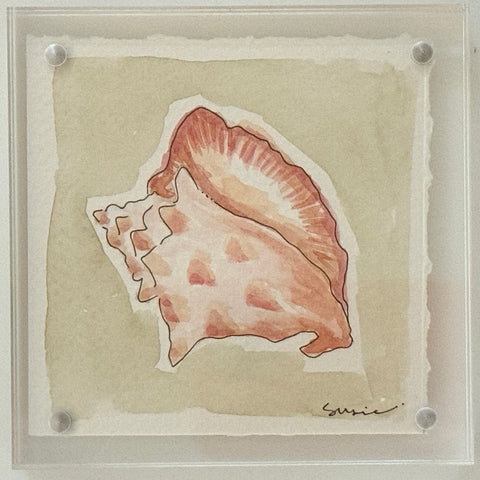 Original Susie Shell No. 13