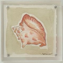 Original Susie Shell No. 13