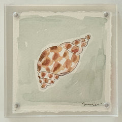 Original Susie Shell No. 14