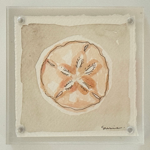 Original Susie Shell No. 16