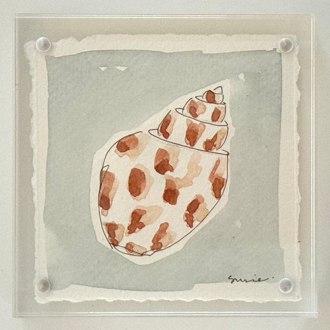 Original Susie Shell No. 17