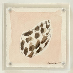 Original Susie Shell No. 1