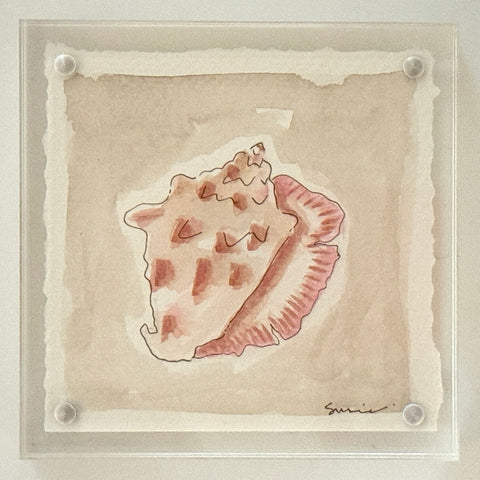 Original Susie Shell No. 21