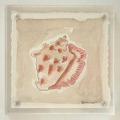 Original Susie Shell No. 21