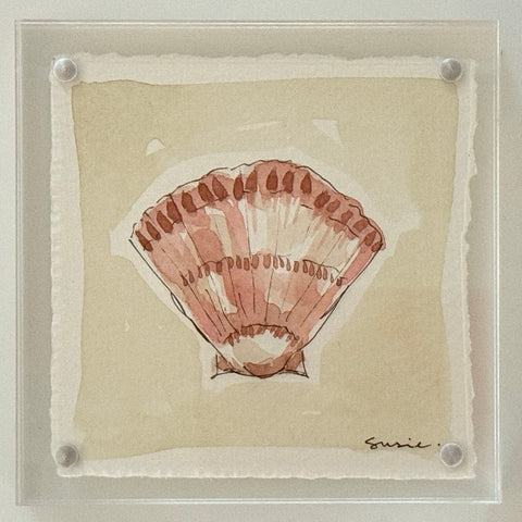 Original Susie Shell No. 2