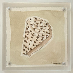 Original Susie Shell No. 3