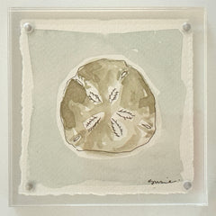 Original Susie Shell No. 9