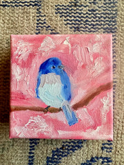 Bluebird in Pink