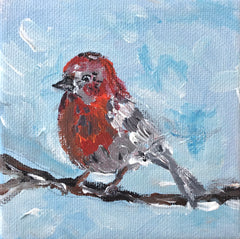 House Finch In The Clouds