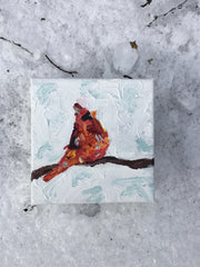 Winter Cardinal