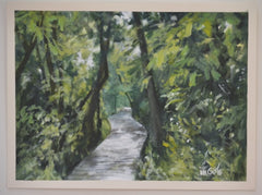 Path, Forest Boardwalk
