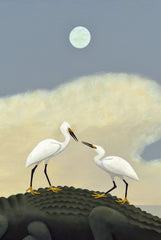 The High Ground - 2 Egrets on Gator
