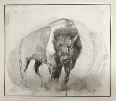 American Bison