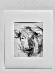 Cow Study