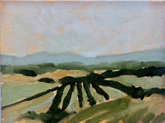 The Distant View
