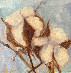 Cotton VII