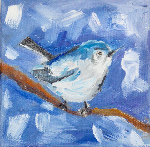 Blue Gray Gnatcatcher