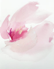 French Tulip 2