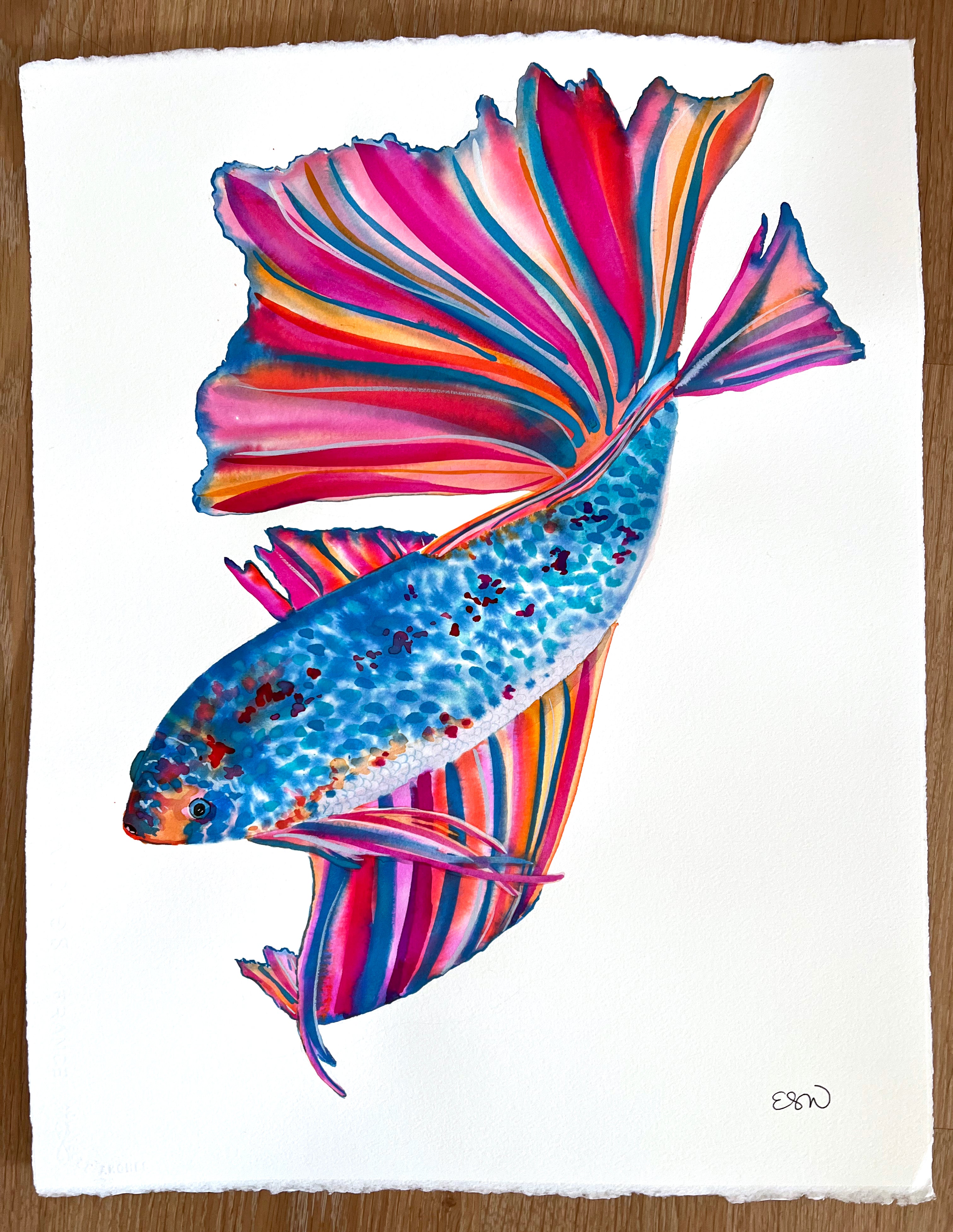 Rainbow Fish
