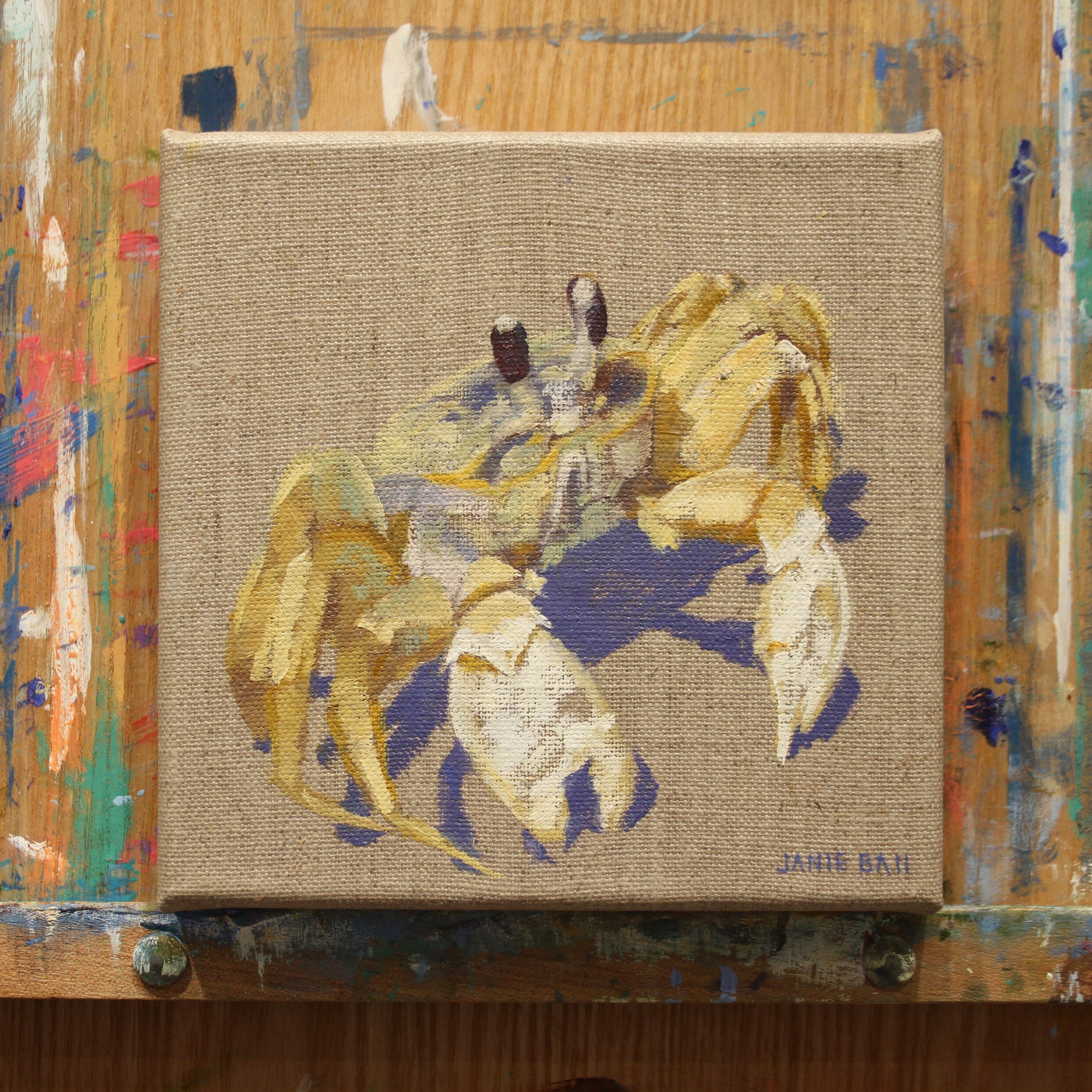 Ghost Crab III
